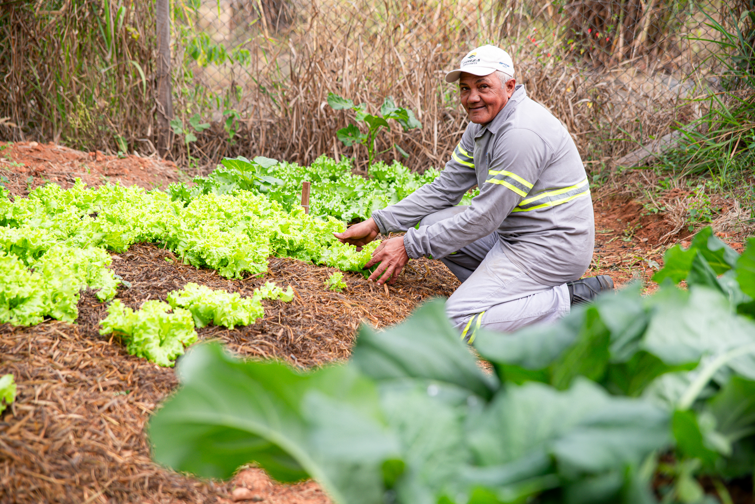 Imagem de uma horta onde foi utilizado um fertilizante natural